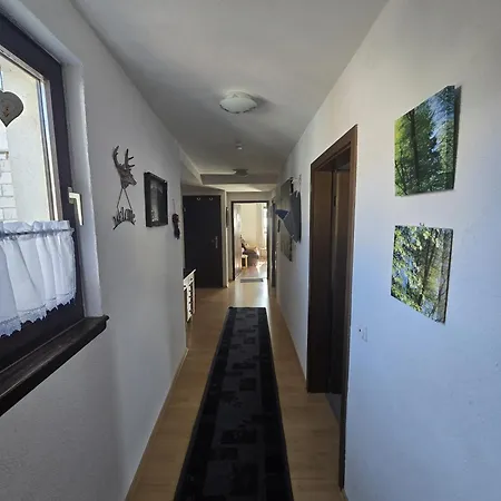 Apartment Ilkas *