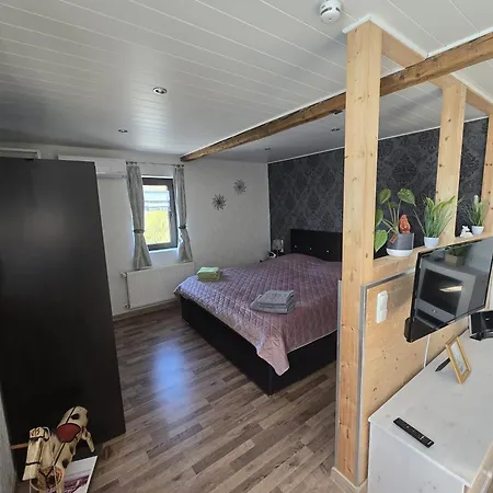 Apartment Ilkas *